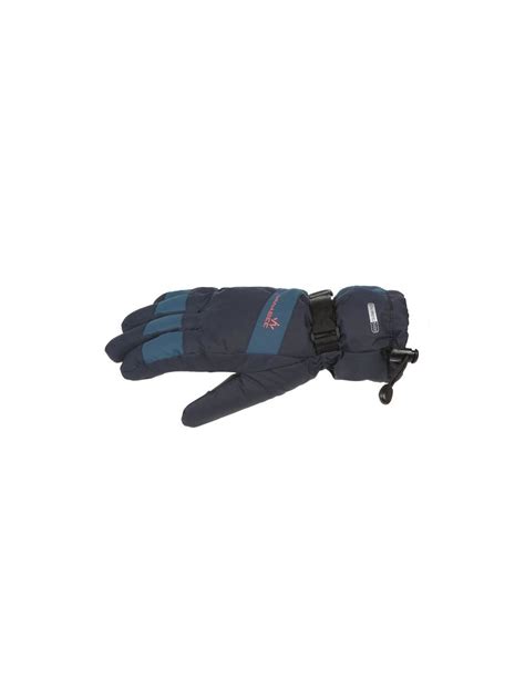 Wanabee Gants De Ski Alpina Gt Homme Bleu Marine