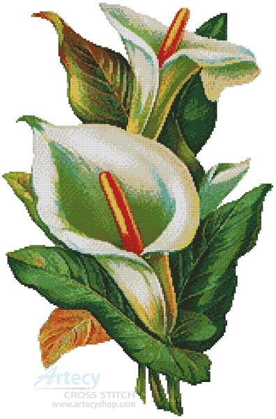 Artecy Cross Stitch Calla Lilies Cross Stitch Pattern To Print Online