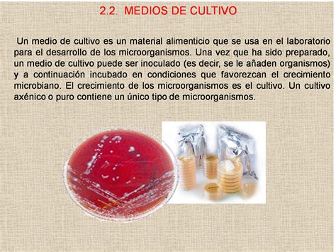 Microbiologia MEDIOS DE CULTIVO