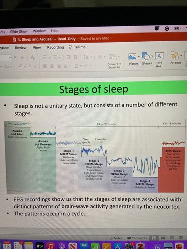 Sleep And Arousal Flashcards Quizlet