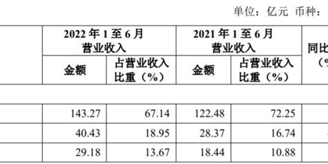 复星医药上半年营收同比增长超25 董事长吴以芳：不会将未来增长完全建立在抗新冠产品上 手机新浪网