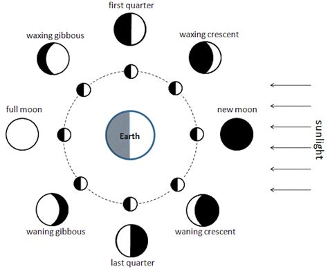 Label The Diagram Of The Phases Of The Moon Moon Phases Work