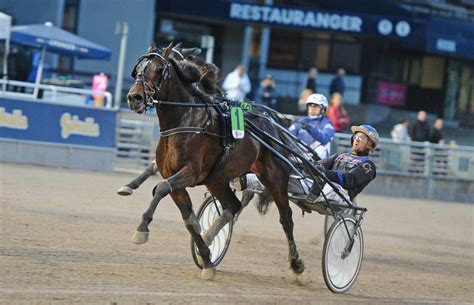 Auktionsfynd blev miljonär Sulkysport