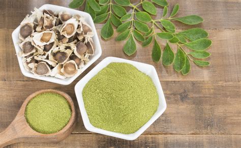 Moringa Para Qu Sirve Propriedades Y C Mo Tomar Galuvi