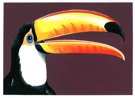 The Toucan - Henry Fraser Art