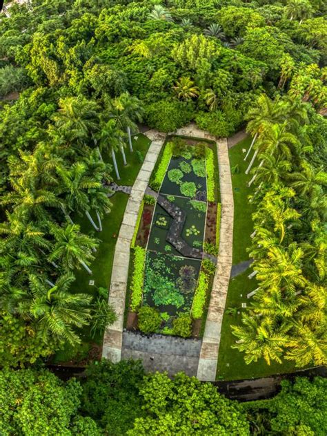 Photographs of the Botanical Garden of Culiacan, Sinaloa 2020 ️