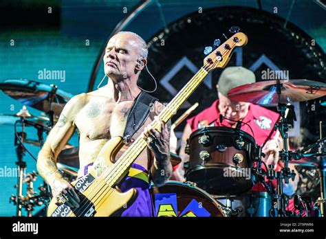 Flea Bass Chad Smith Drums Red Hot Chili Peppers Live In Buenos Aires Argentina Stock