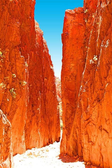 Alice Springs Uluru Itinerary Map Australia S Red Center Road Trip