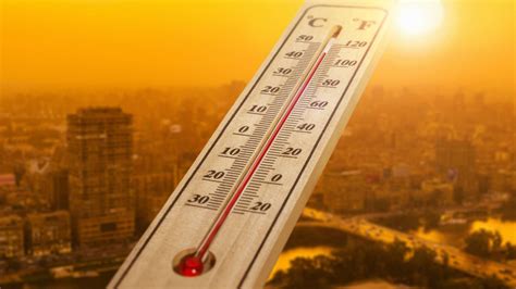 Cambio Climático Cómo Hacer Frente Al Calor Cinco Cosas Que Conviene