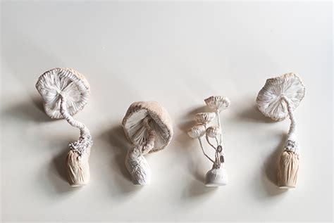 My Mushrooms Sculptures Textielart Behance