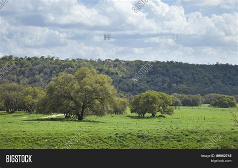 Ranch Pasture Texas Image And Photo Free Trial Bigstock