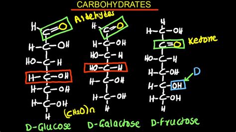 Carbohydrates Monosaccharides Biology Youtube