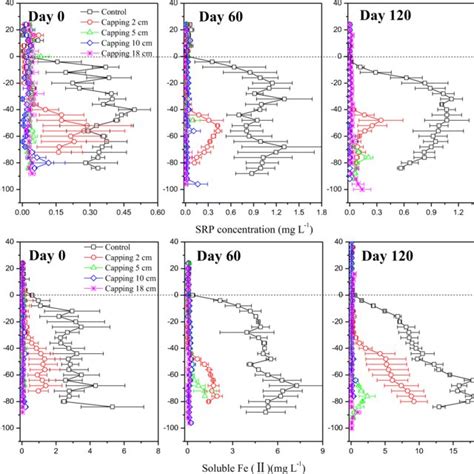 Vertical Profiles Of Srp And Soluble Feii Concentrations In Pore