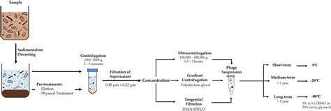 Frontiers Optimized Method For Pseudomonas Aeruginosa 46 Off