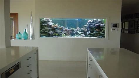 How To Build An Aquarium Into A Wall Tips And Tricks For A Perfect