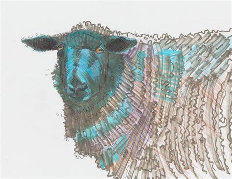 Black Sheep Drawing By Mike Jory Fine Art America