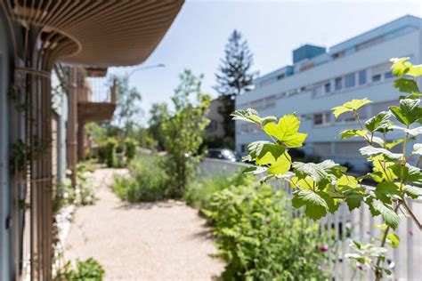 Neubau Mfh Muttenzerstrasse Birsfelden Kottmann