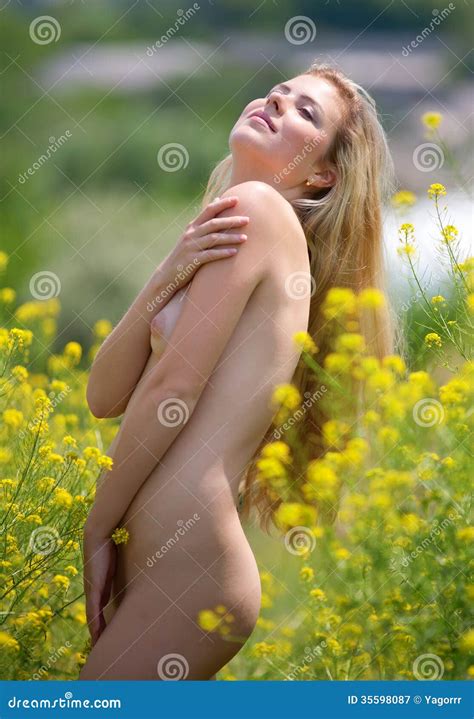 Beautiful Girl Nude In Field With Yellow Flowers Stock Image Image Of Bloom Summer 35598087