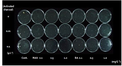 Effects Of Different Concentrations Of Activated Charcoal Ba And Naa Download Scientific