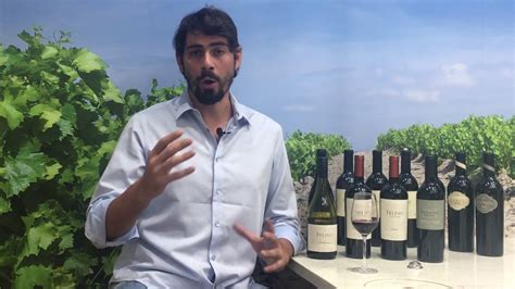 Vina Cobos Felino Malbec With Andres Vignoni YouTube