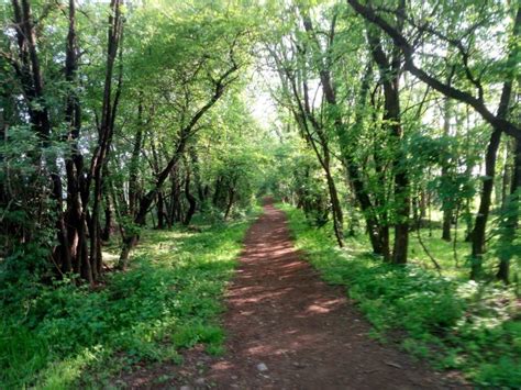 Parco Del Roccolo E Alto Milanese Bikelanders