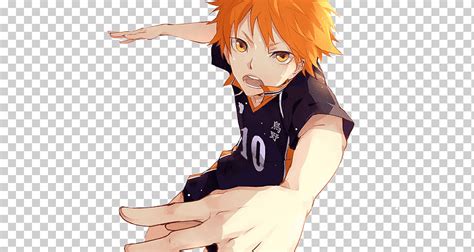 Shoyo Hinata Haikyu Dibujo De Fan Art Anime Pelo Negro Mano The Best