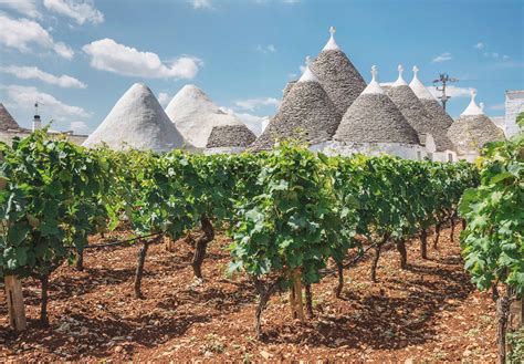 A Guide to Wine Tasting In Puglia, Italy