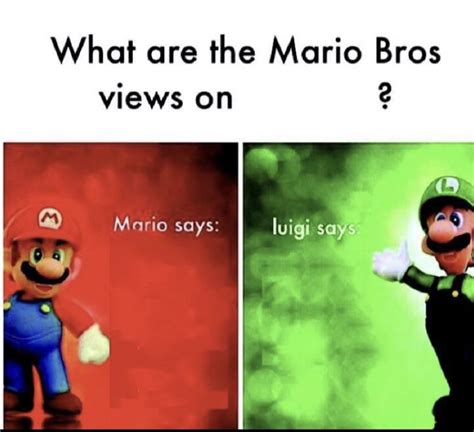 Asking Mario Bros Very Opinion Mario Is Logical Luigi Is Funny Dank