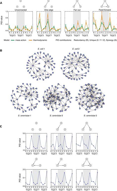 Gene Regulatory Network Inference From Single Cell Data Using