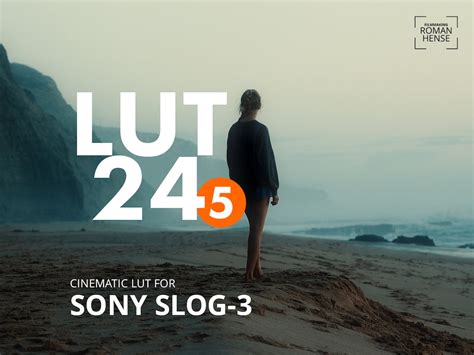 Cinematic LUT 24-5 for Sony Slog-3 - Etsy