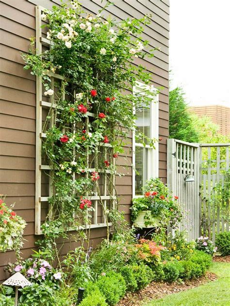 Plantes Grimpantes V G Talisez Votre Jardin Ou Int Rieur Du Sol Au