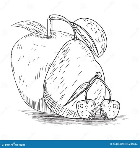 Pear Apple And Cherries Sketch Stock Vector Illustration Of Pear