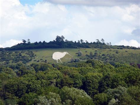 The Bulford Kiwi Amusing Planet