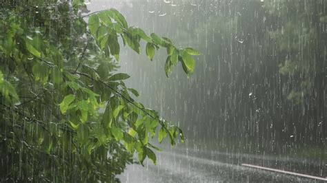 Vous Vous Endormez En Minutes Avec De La Pluie Sur Le Toit