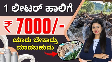 The Price Of Donkey Milk Is Rs 7000 Per Liter ಕತ್ತೆಯ ಹಾಲು ಲೀಟರ್ ಗೆ Rs