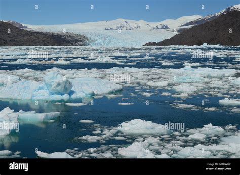 Steffen Glaciar En Campo De Hielo Sur Campo De Hielo Patag Nico Sur