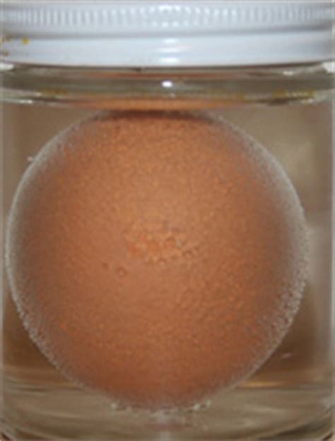 Naked Egg Experiment Science Projects