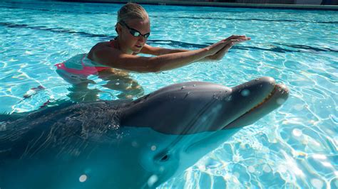 This $3 million robot dolphin may replace captive animals