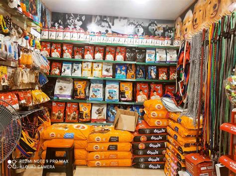 The Future Of Pet Shops Trends To Watch