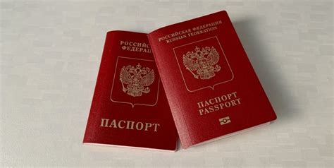 Летом для северян госпошлина за биометрический загранпаспорт вырастет ...