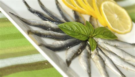 What Are Brisling Sardines? | Sciencing