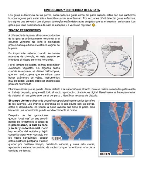 12 Ginecologia Y Obstetricia DE LA GATA GINECOLOGIA Y OBSTETRICIA