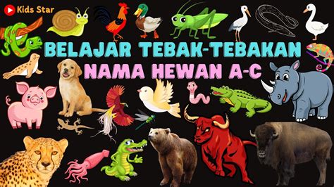 Belajar Tebak Tebakan Nama Binatang Hewan A C Dalam Bahasa Indonesia