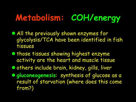 PPT Digestion And Nutrient Metabolism PowerPoint Presentation Free