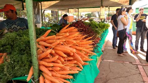 Semagro E Agraer Participam De Oficina Sobre Agricultura Familiar E