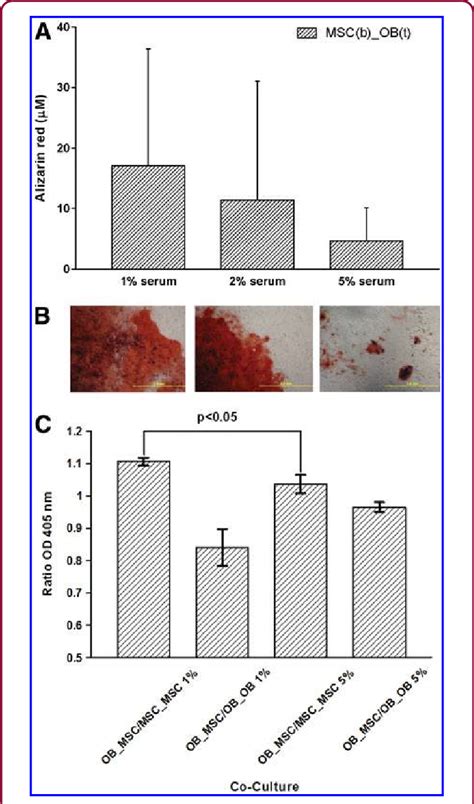 Microscopy At Day For Alizarin Red Staining A Of Mscs In The