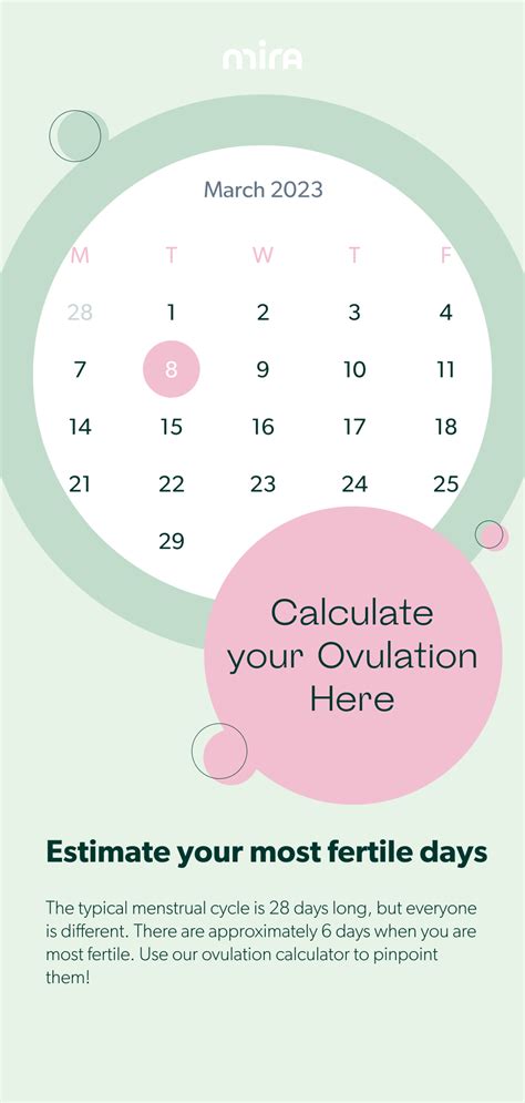 Menstrual Cycle Calculator Artofit