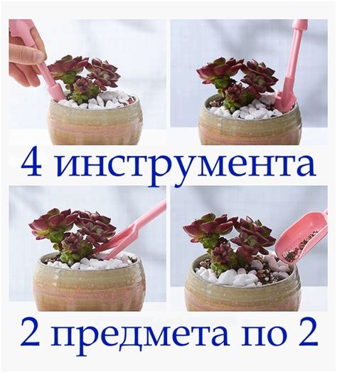 Набор инструментов для суккулентов, уход за комнатными растениями, 4 ...