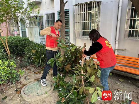 从细微之处入手！苏州市相城区黄桥街道红色党建点亮“阳光生活”社区馨苑居民