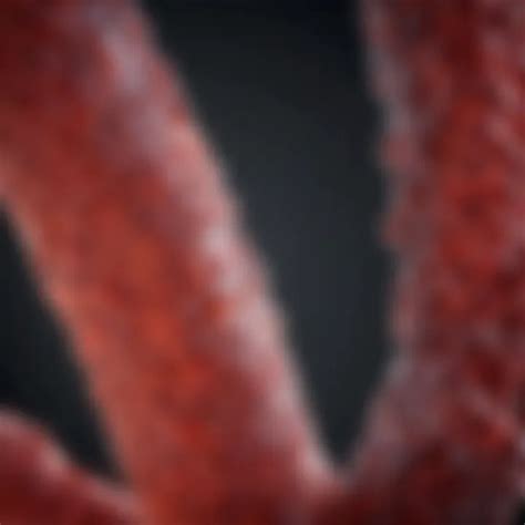 Differences Between Hemophilia A And B Explained